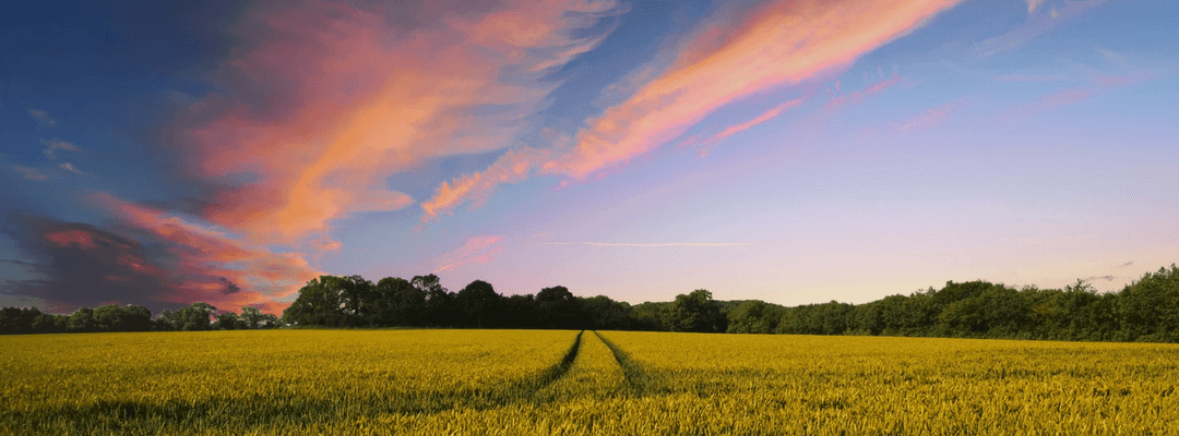 Independents Fiber Network Adds Two Points of Presence (POPs) in Indiana